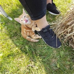 Meet your Posher, Carrie